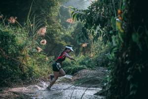 BIB: 
                            <button type="button" onclick="openModal(13716589)" class="btn btn-primary btn-sm float-right btn-popup" data-toggle="modal" data-target=".modal-high-quality">
                        <i class="fas fa-shopping-cart"></i> Add to Cart
                    </button>
                                            <button type="button" onclick="isThisMe(13716589, true)" class="btn btn-success btn-sm float-right btn-popup btn-isme hidden" data-toggle="tooltip" data-placement="bottom" title="นี่คือรูปของคุณใช่ไหม คลิกที่นี่เพื่อเอาเข้าอัลบั้ม">
                        <i class="fas fa-plus"></i> Add to album
                    </button>
                    <button type="button" onclick="isThisMe(13716589, false)" class="btn btn-warning btn-sm float-right btn-popup btn-isnotme hidden">
                        <i class="fas fa-ban"></i> Remove from album
                    </button>